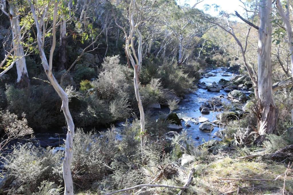 Big Yard Escapes - Two Off-Grid Tiny Houses On The Mowamba River Jindabyne Buitenkant foto