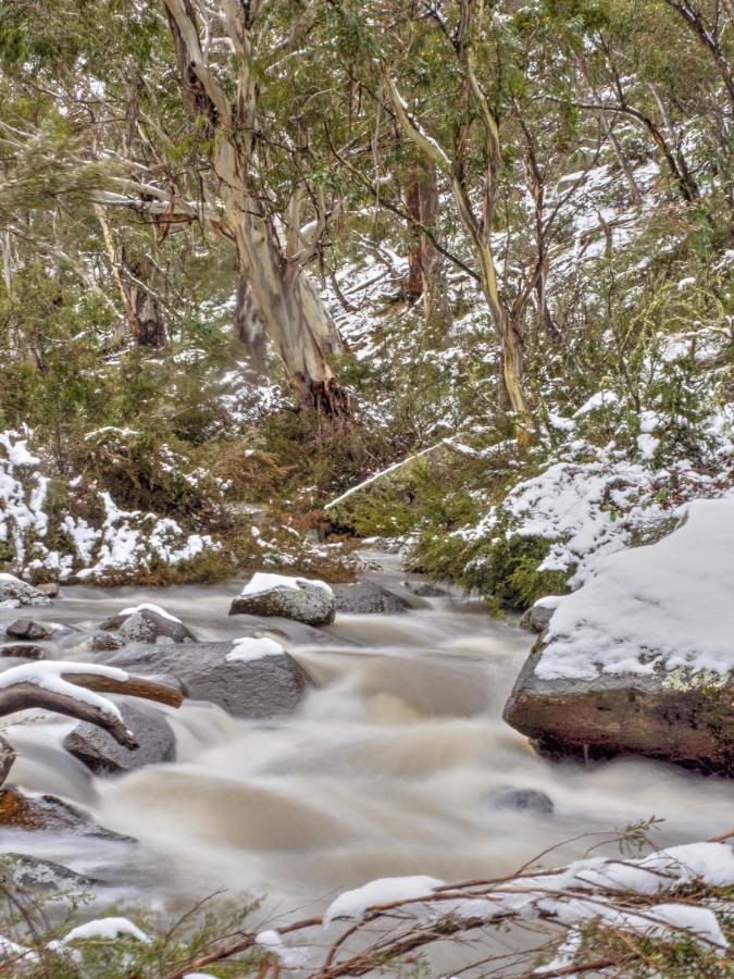 Big Yard Escapes - Two Off-Grid Tiny Houses On The Mowamba River Jindabyne Buitenkant foto