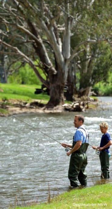 Big Yard Escapes - Two Off-Grid Tiny Houses On The Mowamba River Jindabyne Buitenkant foto