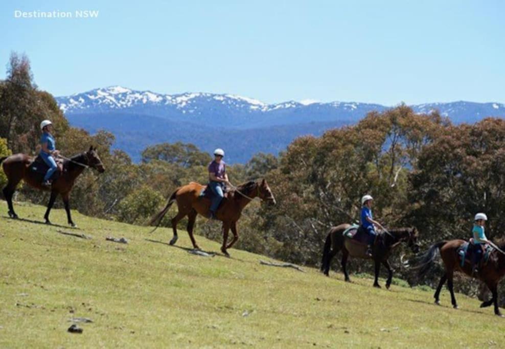 Big Yard Escapes - Two Off-Grid Tiny Houses On The Mowamba River Jindabyne Buitenkant foto