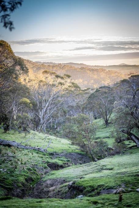 Big Yard Escapes - Two Off-Grid Tiny Houses On The Mowamba River Jindabyne Buitenkant foto