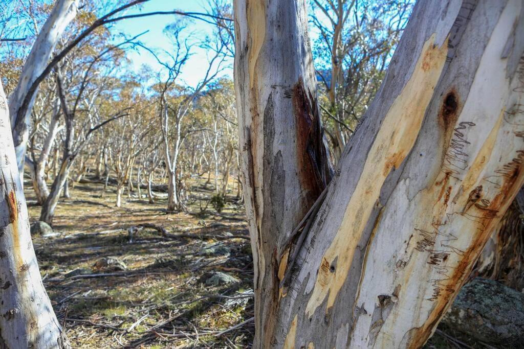 Big Yard Escapes - Two Off-Grid Tiny Houses On The Mowamba River Jindabyne Buitenkant foto