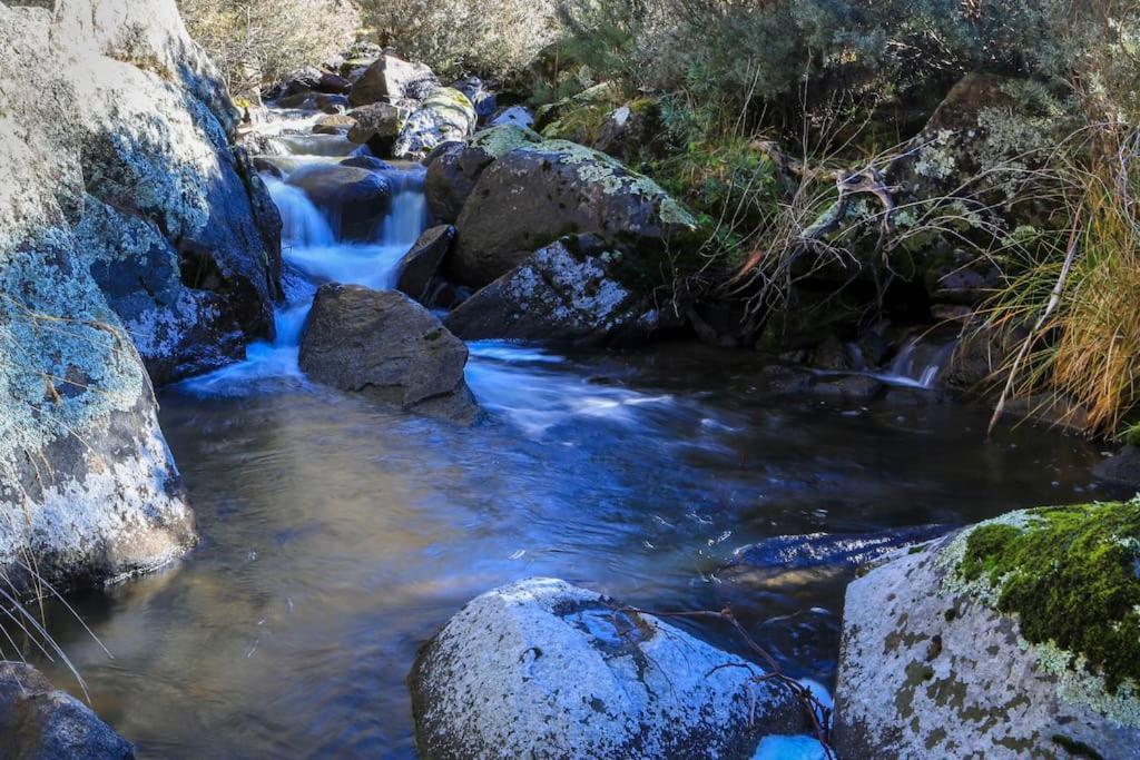 Big Yard Escapes - Two Off-Grid Tiny Houses On The Mowamba River Jindabyne Buitenkant foto