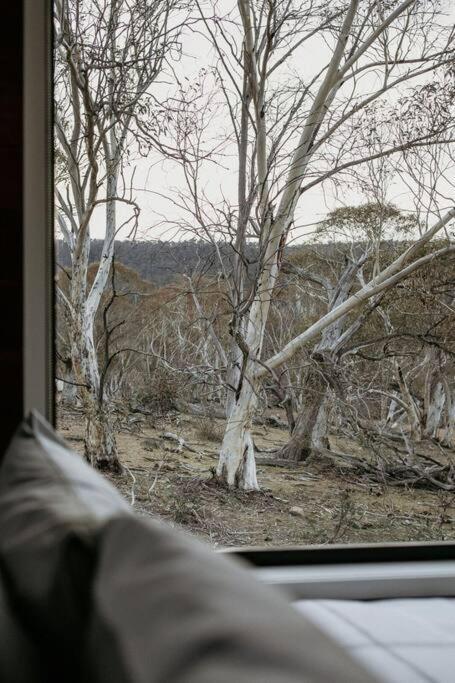 Big Yard Escapes - Two Off-Grid Tiny Houses On The Mowamba River Jindabyne Buitenkant foto