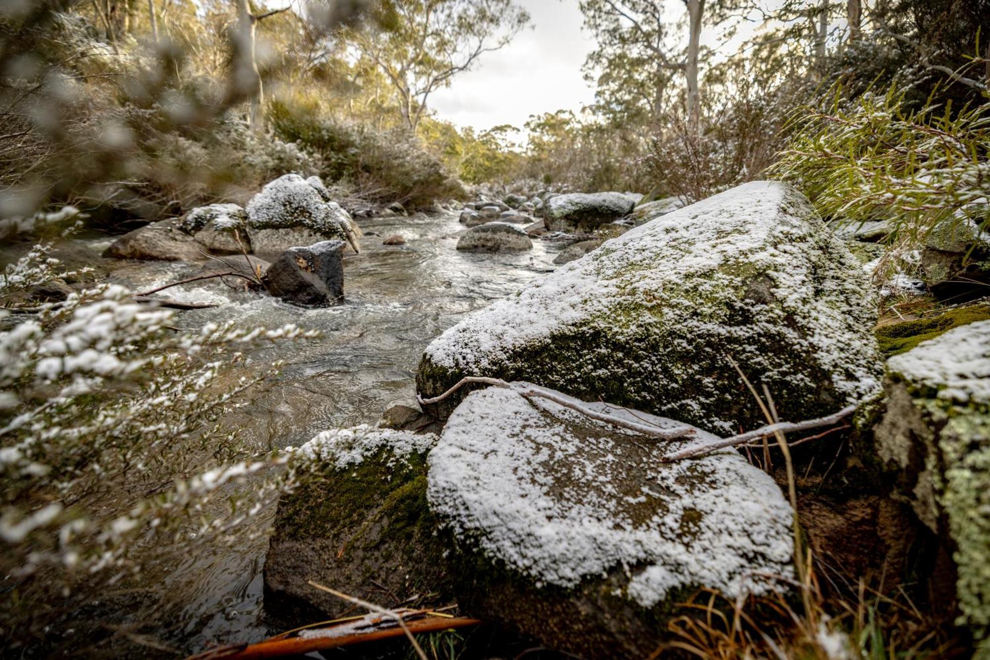 Big Yard Escapes - Two Off-Grid Tiny Houses On The Mowamba River Jindabyne Buitenkant foto