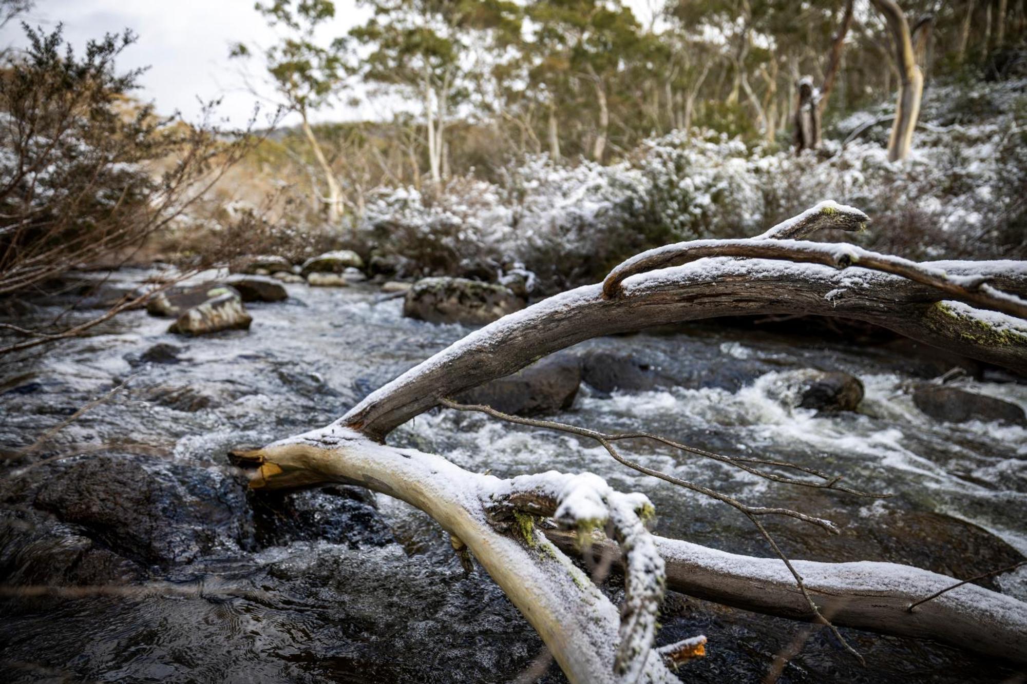 Big Yard Escapes - Two Off-Grid Tiny Houses On The Mowamba River Jindabyne Buitenkant foto